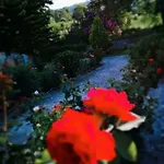 Apartament Dreams - Katelios,santa Barbara