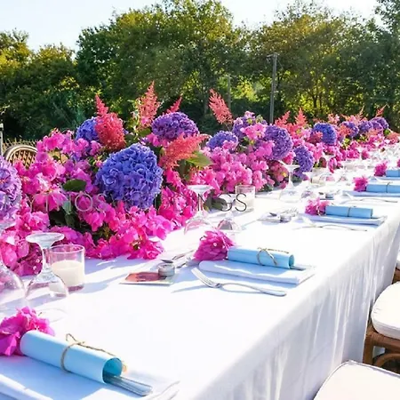 Dreams - Katelios,santa Barbara * Kateleios